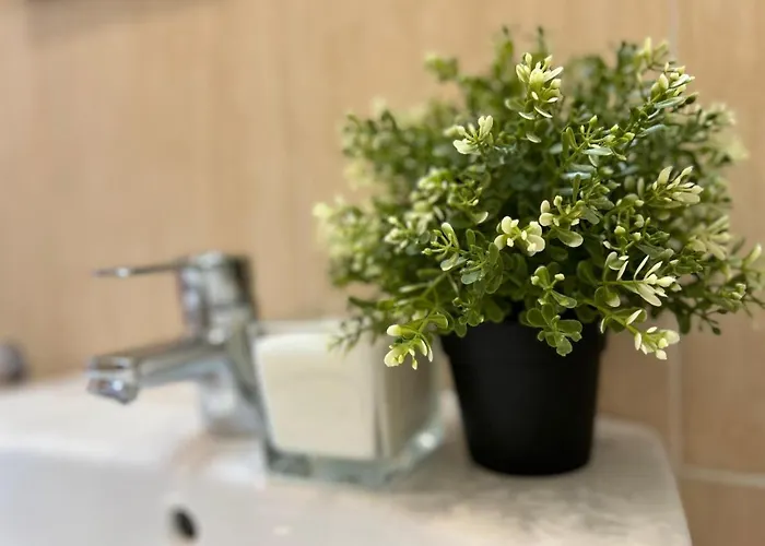 Ski&fun - Monte Oiz - * Σιέρρα Νεβάδα